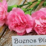Buenos Dias Para Mi Esposa: The Perfect Way To Start Her Day