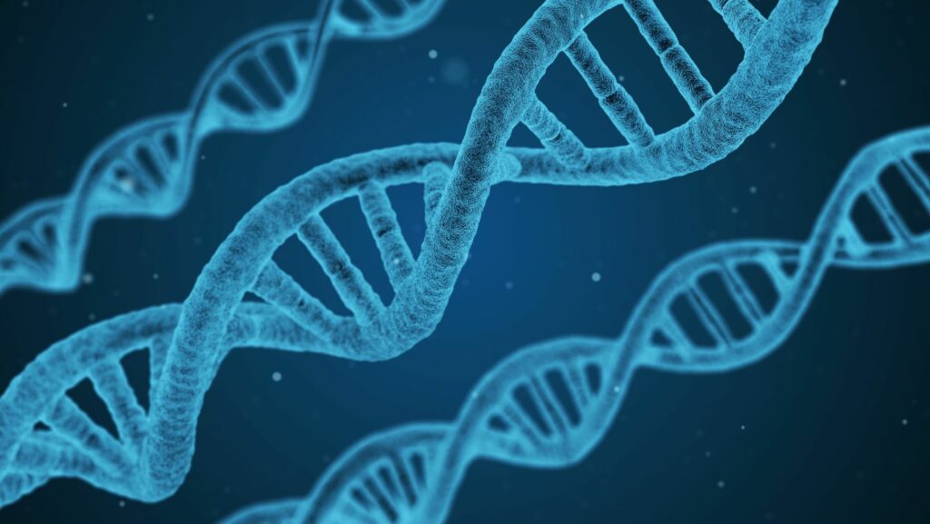 dna looks sort of like a weird ladder. the "rungs" of the ladder are the