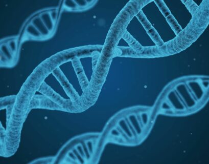 dna looks sort of like a weird ladder. the "rungs" of the ladder are the