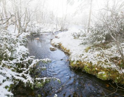 how many days after the first fog will it snow