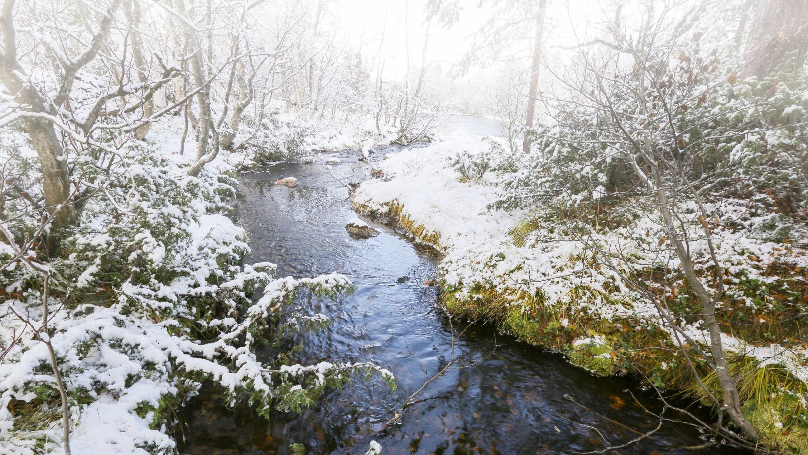 A Meteorological InquiryHow Many Days After the First Fog Will It Snow