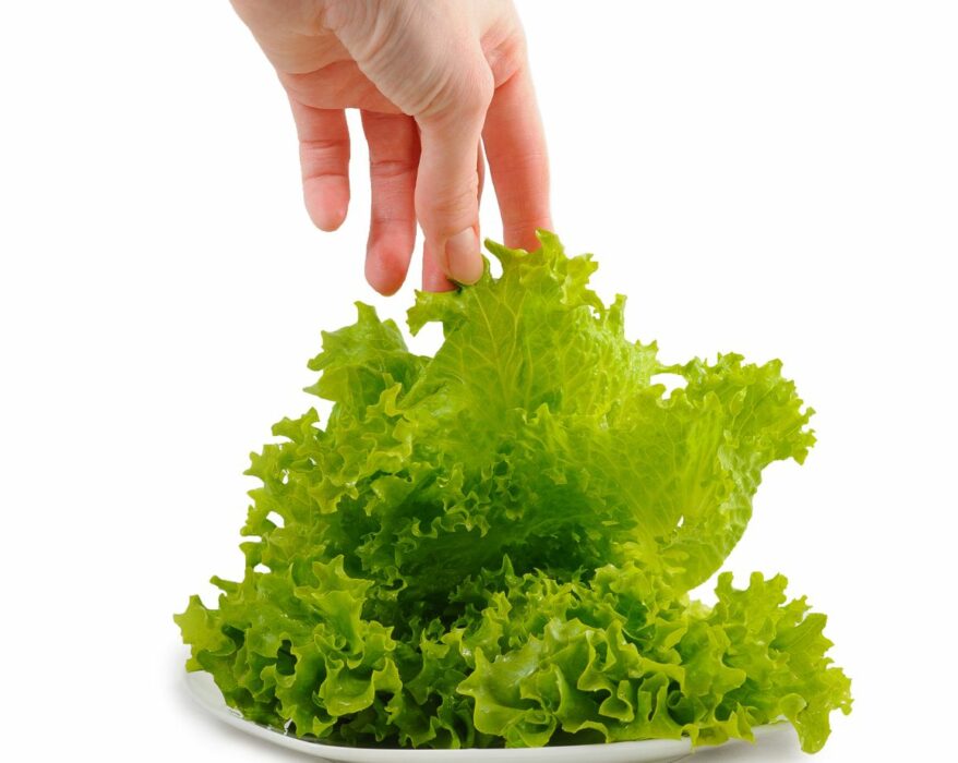 is it okay to eat lettuce that is turning red