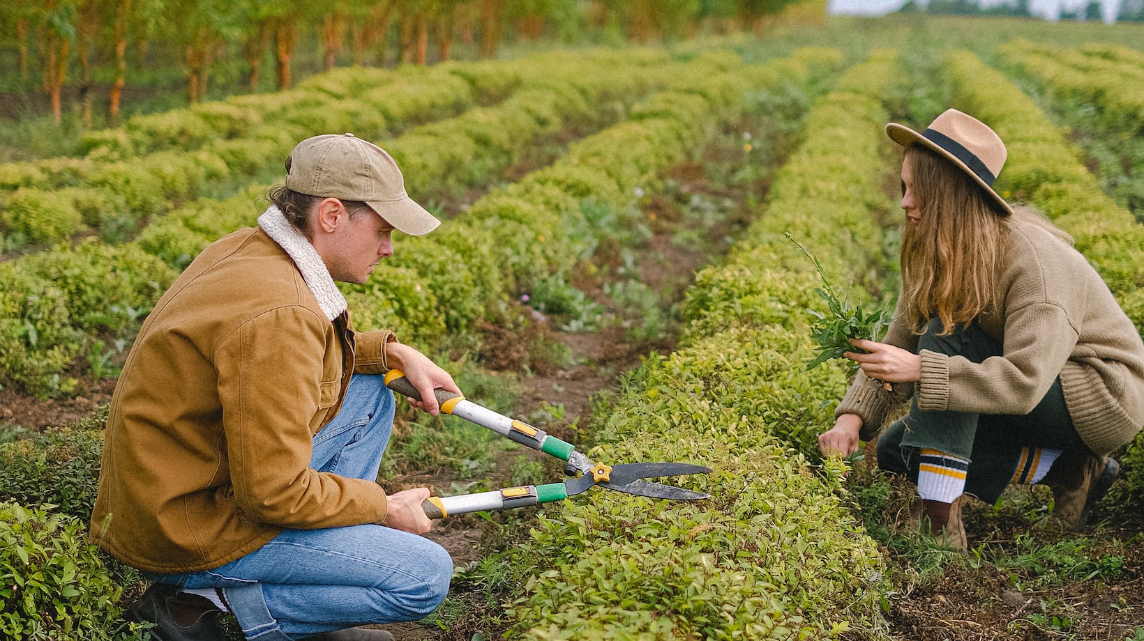 Explore the Exciting Opportunities of Ranch Jobs for Couples Loving